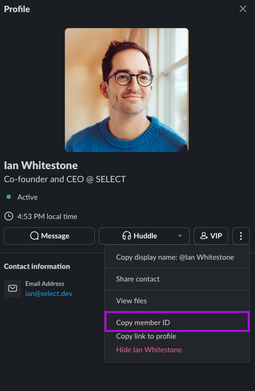 SELECT Custom SQL Monitors