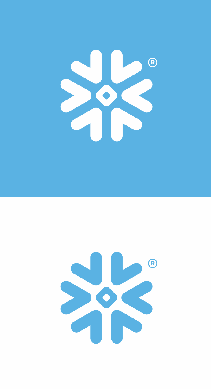 Snowflake bug logo