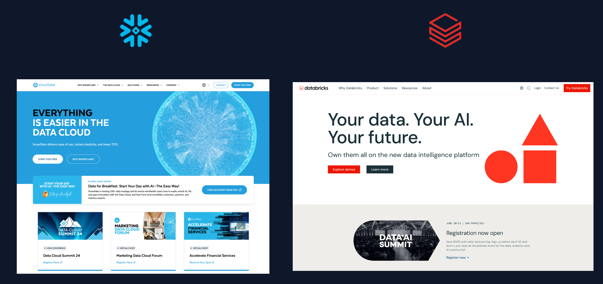 Snowflake vs. Databricks website branding